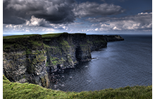 The Cliffs of Moher are home to one of the major colonies of cliff nesting seabirds in Ireland